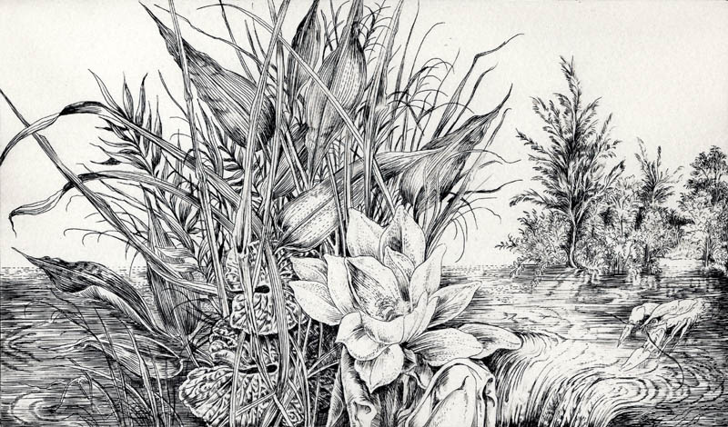 Dietrich Schuchardt Water Lilies (Seerose) first state etching